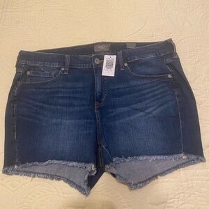 Torrid Women's Blue Denim Shorts Size 16